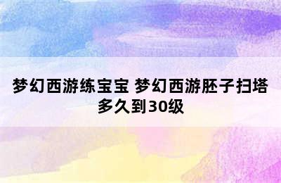 梦幻西游练宝宝 梦幻西游胚子扫塔多久到30级